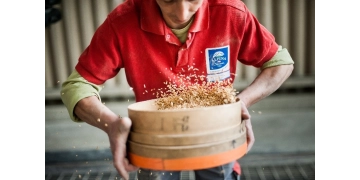 Les PME+ engagées dans l'emploi des jeunes