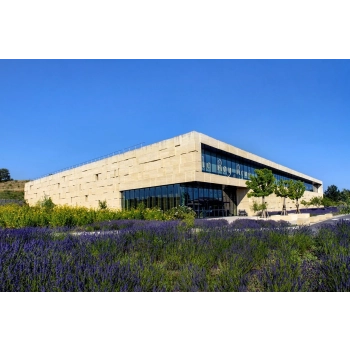 CONFISERIE DU ROY RENE